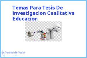 Tesis de Investigacion Cualitativa Educacion: Ejemplos y temas TFG TFM