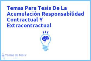 Tesis de La Acumulación Responsabilidad Contractual Y Extracontractual: Ejemplos y temas TFG TFM