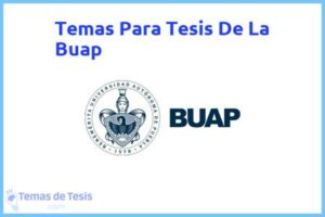 Tesis de La Buap: Ejemplos y temas TFG TFM
