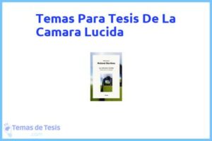 Tesis de La Camara Lucida: Ejemplos y temas TFG TFM