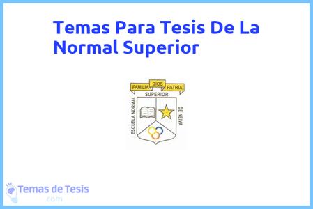 Tesis de La Normal Superior: Ejemplos y temas TFG TFM