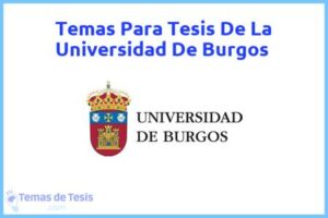 Tesis de La Universidad De Burgos: Ejemplos y temas TFG TFM