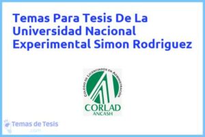 Tesis de La Universidad Nacional Experimental Simon Rodriguez: Ejemplos y temas TFG TFM