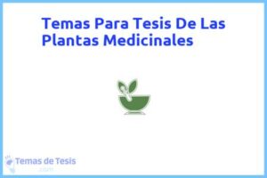 Tesis de Las Plantas Medicinales: Ejemplos y temas TFG TFM
