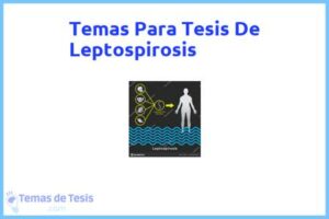 Tesis de Leptospirosis: Ejemplos y temas TFG TFM