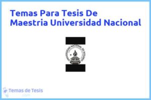 Tesis de Maestria Universidad Nacional: Ejemplos y temas TFG TFM