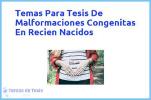 Tesis de Malformaciones Congenitas En Recien Nacidos: Ejemplos y temas TFG TFM