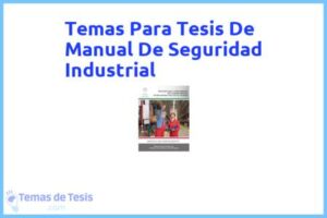 Tesis de Manual De Seguridad Industrial: Ejemplos y temas TFG TFM