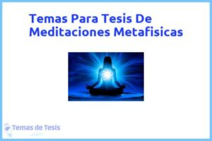 Tesis de Meditaciones Metafisicas: Ejemplos y temas TFG TFM