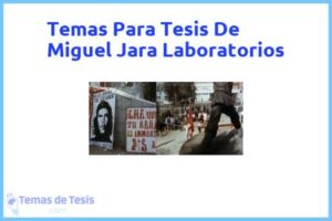 Tesis de Miguel Jara Laboratorios: Ejemplos y temas TFG TFM