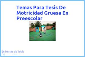 Tesis de Motricidad Gruesa En Preescolar: Ejemplos y temas TFG TFM