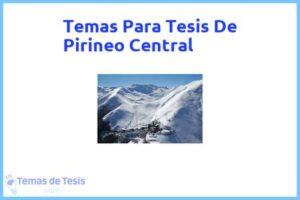 Tesis de Pirineo Central: Ejemplos y temas TFG TFM