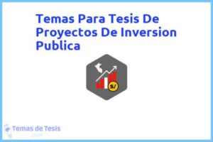 Tesis de Proyectos De Inversion Publica: Ejemplos y temas TFG TFM