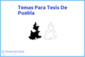 Tesis de Puebla: Ejemplos y temas TFG TFM