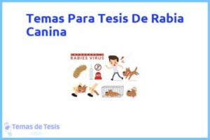 Tesis de Rabia Canina: Ejemplos y temas TFG TFM