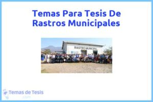 Tesis de Rastros Municipales: Ejemplos y temas TFG TFM