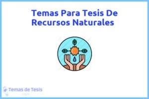 Tesis de Recursos Naturales: Ejemplos y temas TFG TFM