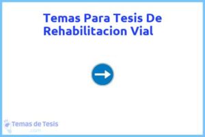 Tesis de Rehabilitacion Vial: Ejemplos y temas TFG TFM