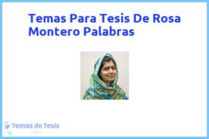 Tesis de Rosa Montero Palabras: Ejemplos y temas TFG TFM