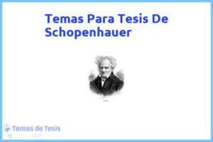 Tesis de Schopenhauer: Ejemplos y temas TFG TFM