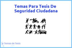 Tesis de Seguridad Ciudadana: Ejemplos y temas TFG TFM