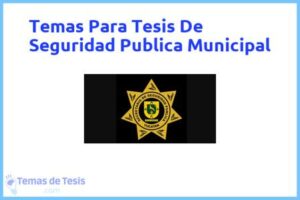 Tesis de Seguridad Publica Municipal: Ejemplos y temas TFG TFM