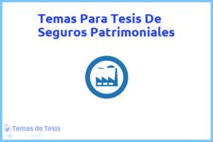 Tesis de Seguros Patrimoniales: Ejemplos y temas TFG TFM