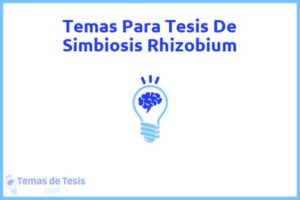 Tesis de Simbiosis Rhizobium: Ejemplos y temas TFG TFM