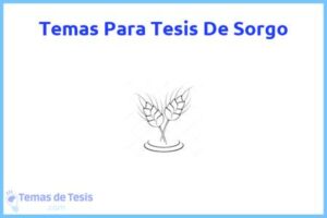 Tesis de Sorgo: Ejemplos y temas TFG TFM