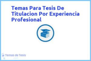 Tesis de Titulacion Por Experiencia Profesional: Ejemplos y temas TFG TFM