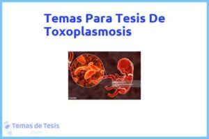 Tesis de Toxoplasmosis: Ejemplos y temas TFG TFM