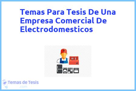 Tesis de Una Empresa Comercial De Electrodomesticos: Ejemplos y temas TFG TFM